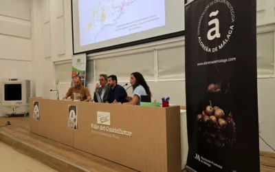 La XXV Jornada técnica DOP Aloreña de Málaga refuerza el valor del sector en Pizarra
