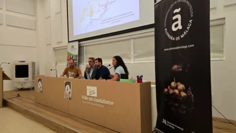 La XXV Jornada técnica DOP Aloreña de Málaga refuerza el valor del sector en Pizarra