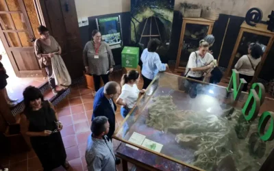 Nodo de Innovación Social en la Sierra de las Nieves: bioeconomía y emprendimiento rural