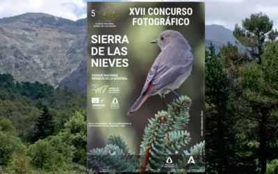 Abierto el XVII Concurso Fotográfico Sierra de las Nieves hasta septiembre