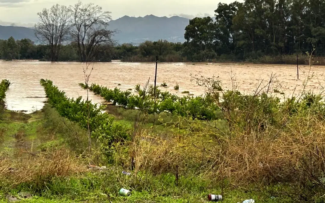 Pizarra impulsa la recuperación de infraestructuras con 4,3 millones