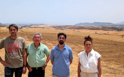 Adelante Andalucía reclama más control institucional en el macroproyecto fotovoltaico de La Jara