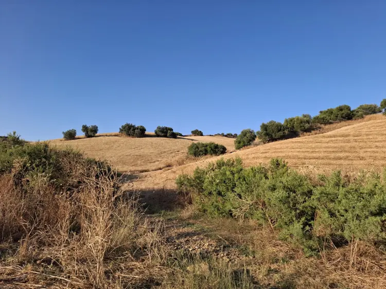Zona de la Jara de Coín