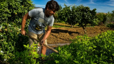 Entrevista a Juan Avión sobre La Jara y Río Grande